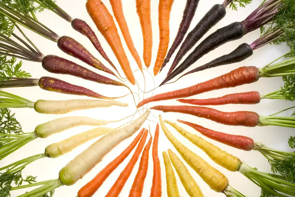 Carrots