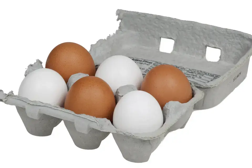 Hen's eggs
