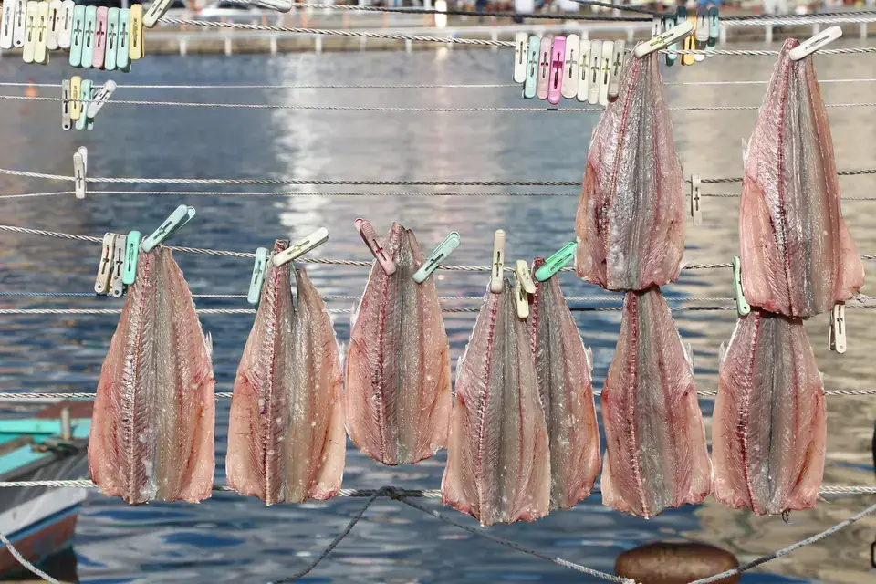 Drying fish, one possible source