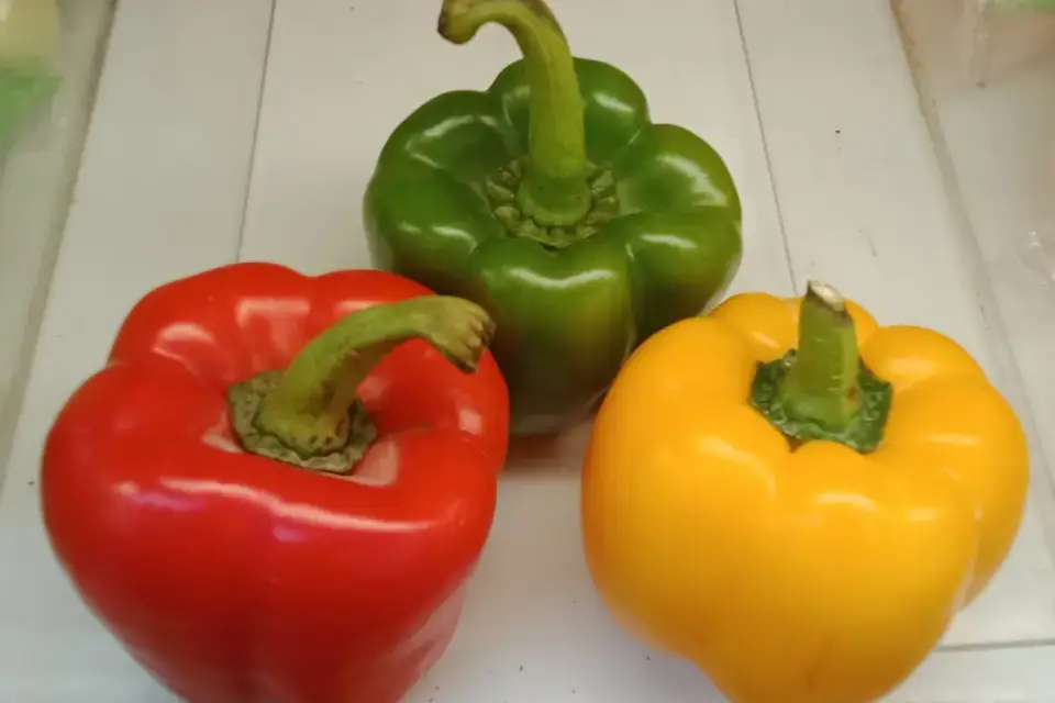 Sweet peppers