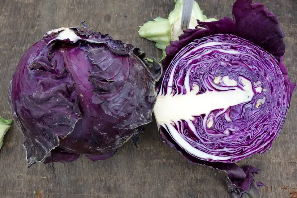 Red cabbage