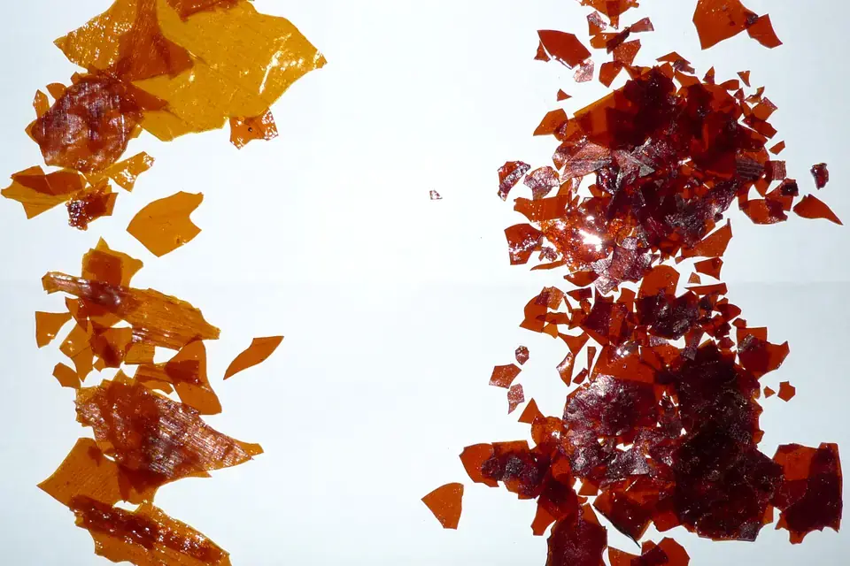 Shellac flakes, the resin of the lac insect