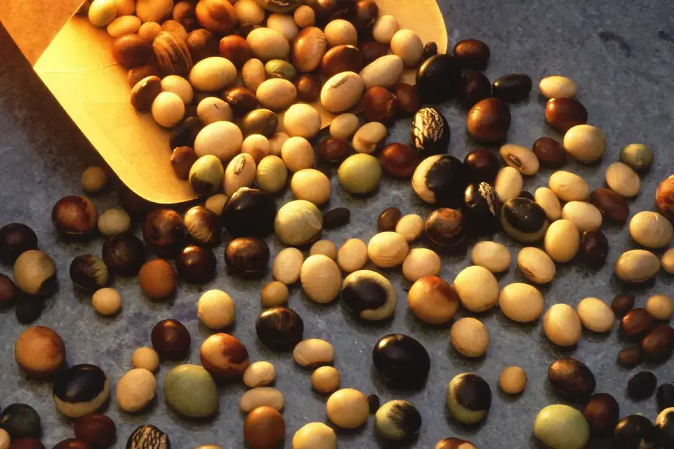 Soybeans